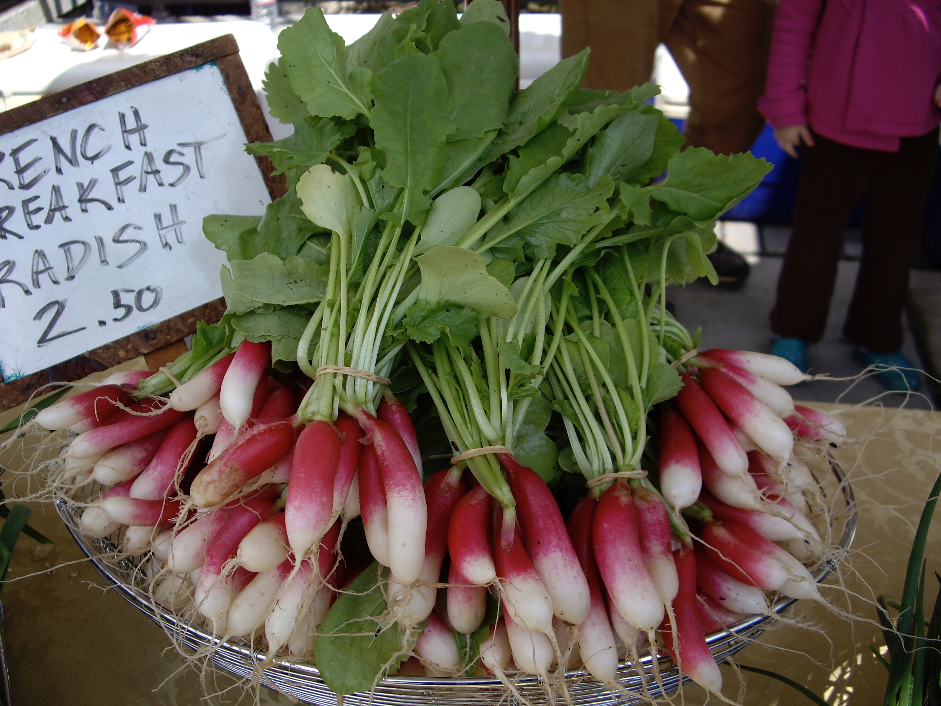 A Birthday Toast to Seed Savers Exchange