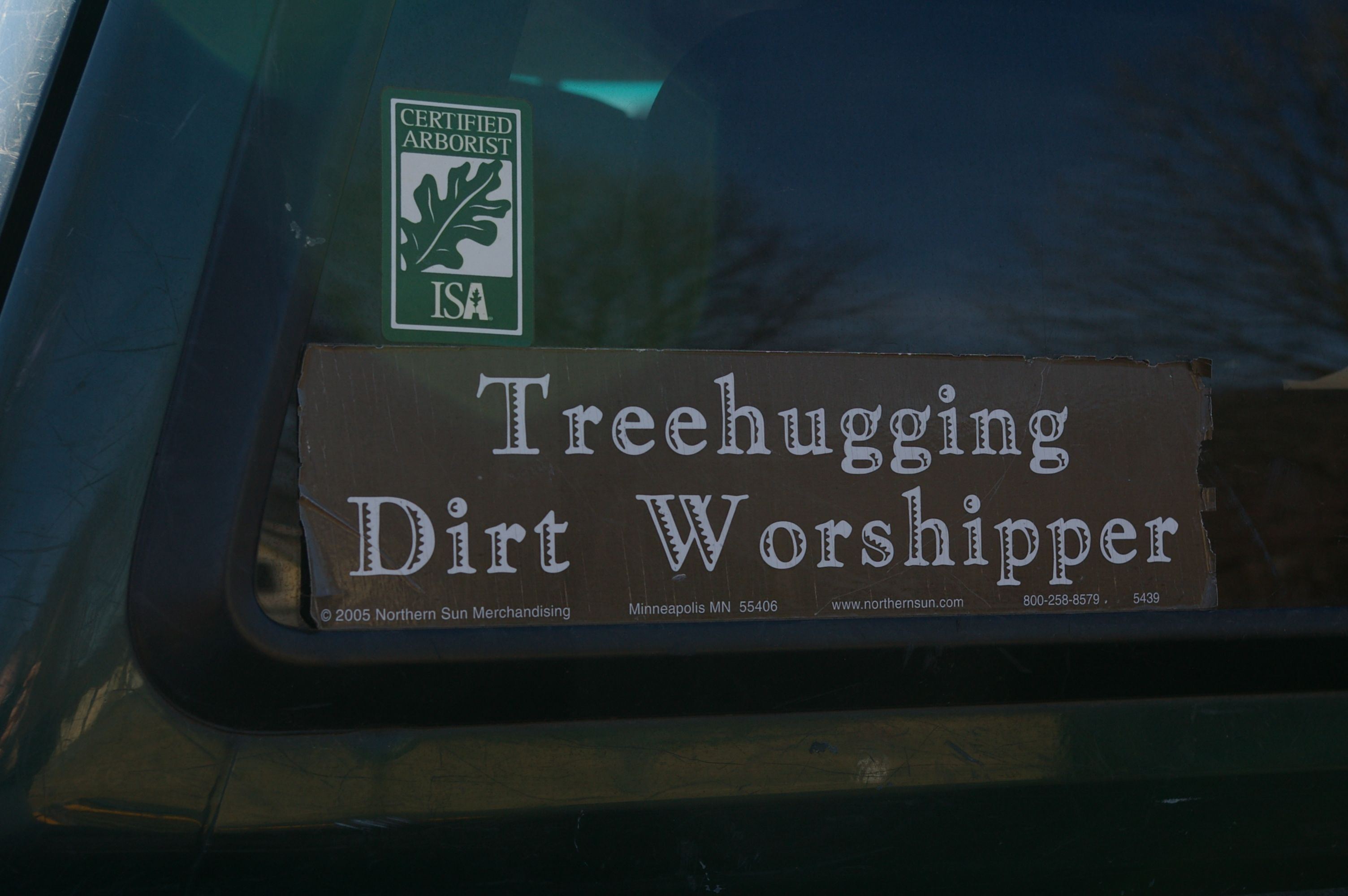 The Ancient Art of the Arborist